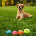 Dog Squeaky Tennis Ball Toy