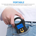 Portable 50KG Electronic Spring Scale