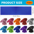 Microfiber Ice Towel With Carrying Pouch And Carabiner Clip