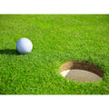 3-Pack Professional Golf Balls