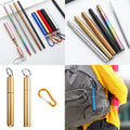 Stainless Stain Straws With Metal Case