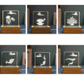 3D Engraved Marine Animal Crystal Cubes Night Light Gift