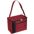 Cooler Bag
