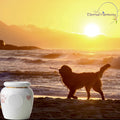 Small Pet Memorial Cremation Urn