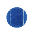Dog Tennis Ball