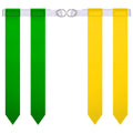 Flag Football Belt