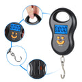 Portable 50KG Electronic Spring Scale