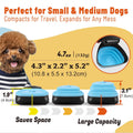 Dog Pooper Scooper W/Container