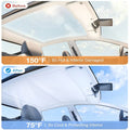 Glass Roof Visor