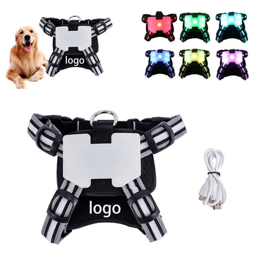 USB Charging Luminous Chest Strap