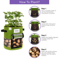 Large 10 Gallon Vegetable Grow Bags