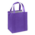 Econo Insulated Non-Woven Lunch Cooler Tote