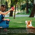 Interactive Dog Feeder Food Dispensing
