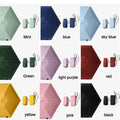 Compact Travel Umbrella with Case