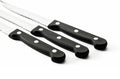 6-Piece Stainless Steel Steak Knife Set