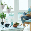 Eggshell Self Watering Hanging Planters