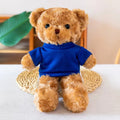 Plush Teddy Bear W/Choice of T-Shirt Color