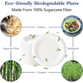 8" Bagasse Fiber Disposable Plates