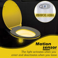Color Changing Toilet Light