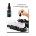 Train Diffuser 300ML