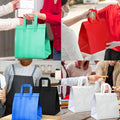 Non-Woven Insulated Take Out Bags