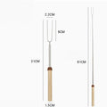 Stainless Steel Telescopic Barbecue Stick