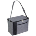 Cooler Bag