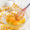 Stainless Steel Whisk with Black Silicone Beater