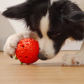 Lovely Treat Strawberry Dog Chew Toy