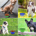 Collapsible Pet Bowl w/Carabiner