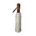 Automatic Folding Umbrella With 10 Ribs