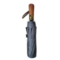 Automatic Folding Umbrella With 10 Ribs