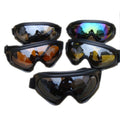 Ski Goggles