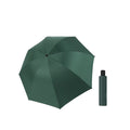 Large Folding Sunshade