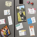 Business Card Magnet
