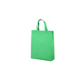Non-Woven Gift Bag