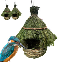 Bird House