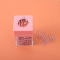 Small Clip Dispenser with Magnetic Top