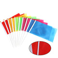 Solid Color Handheld Flag 2024 Parade Election Events