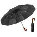 Automatic Folding Umbrella With 10 Ribs