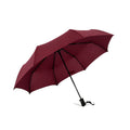 Premium Windproof Compact Travel Umbrella Auto Open Close