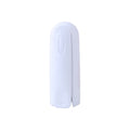 Mini Travel Lint Roller