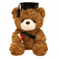 Dr. Hooded Bear Graduation Season Gift