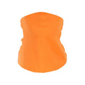Summer Sun UV Protection Face Mask