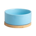 Temperature Control Pet Bowl - Heated Ceramic Dish