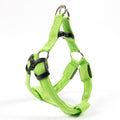 Rechargeable Light Up Dog Harness