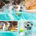 Tennis Ball Fetch Dog Toy