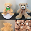 13" Bear Plush Toy