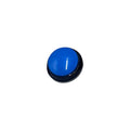 Pet Training Voice Recording Buttons