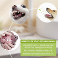Pet Silicone Tiny Toothbrush